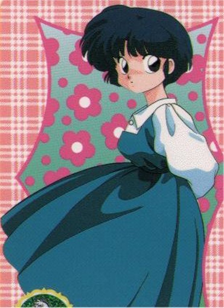 Akane And Ranma