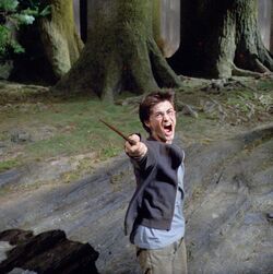 Harrypatronus
