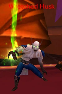 Image of Wretched Husk