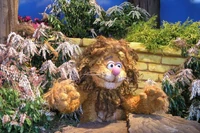 Ozflowershow05