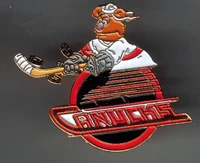 Vancouvercanucksfozzie
