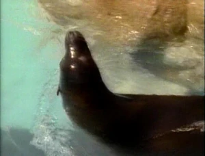 WaterBaby.jpg