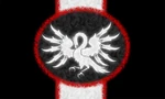 Bdcflag-450