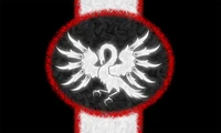 Bdcflag-450