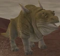 Bolma.png