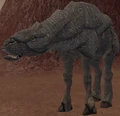 Brackaset.png
