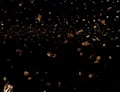 Sector 21527 asteroid field.jpg