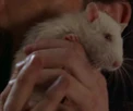 4x05 Eloise.jpg