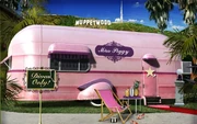 Muppets-go-com-7a