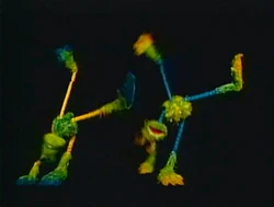 Feelthebeat2