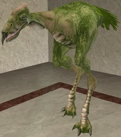 Carrionspat