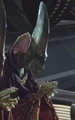 Fo Kuna aotc.jpg