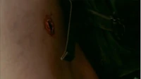 Exit Wounds.JPG