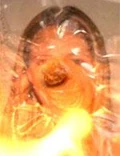 Barbara Joanna Miller2.jpg