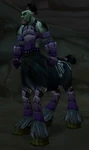 The Nameless Prophet