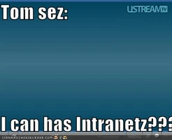 TomsezicanBOLcat.jpg