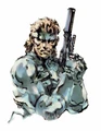 Snakeholdinggunup