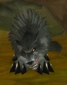 Rema.jpg