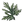 Substances Wolfsbane