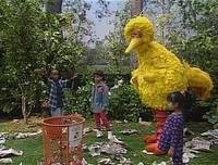 3427g.jpg