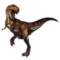 Tyrannosaurus.jpg