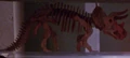 Triceratops.jpg