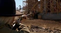 Shootsfleas.jpg