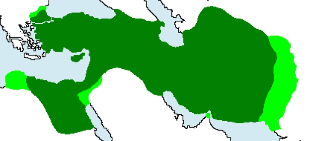 Persia2(gekím)