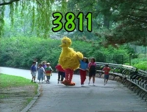 3811.jpg