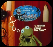 VMhawaii-a2