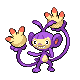 Ambipom DP hembra