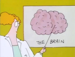 NancyEinstein.Brain