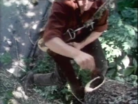 Treesurgeon.jpg