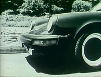 Carfrog.jpg