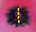 GenericTumor