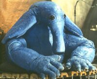 Maxrebo