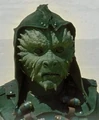 Green nikto.jpg