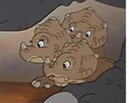 Ceras Nestmates
