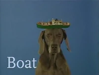 Dogboat.jpg
