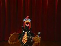 Roostercomedian.jpg