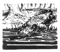 Crocodile.jpg