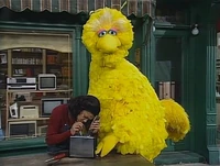 3836e.jpg