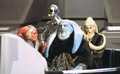 OrnFreeTaa-E1IG.jpg