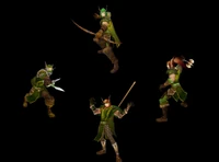 Forest Watchers.jpg