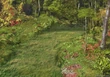 Chocobo Forest VIII 7