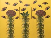 Flowerpattern2