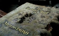 The Monster Book.jpg