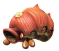 Decoratedcannonbeetle.jpg