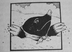 Grumm