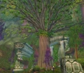 Heartswood.jpg